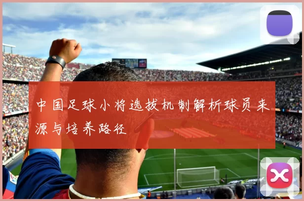 中国足球小将选拔机制解析球员来源与培养路径