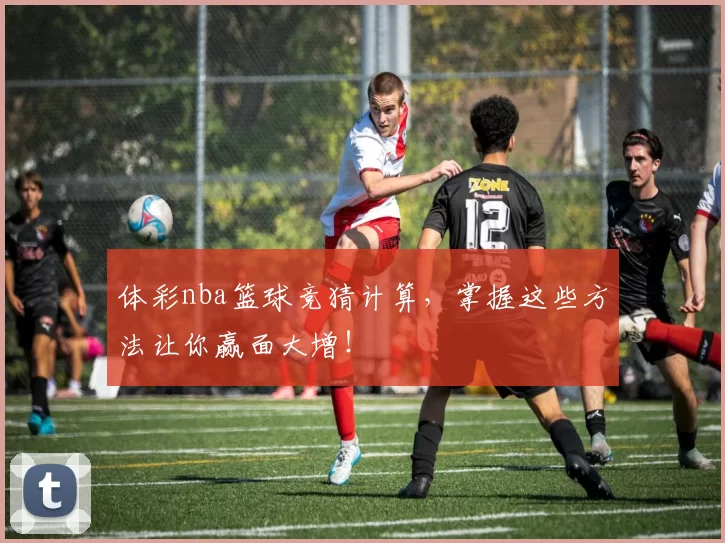 体彩nba篮球竞猜计算，掌握这些方法让你赢面大增！