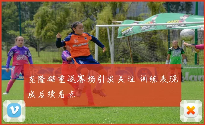 克隆猫重返赛场引发关注 训练表现成后续看点