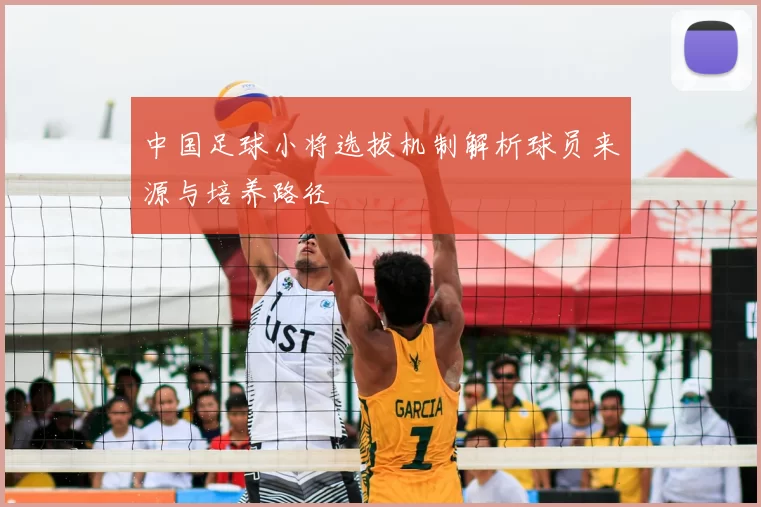 中国足球小将选拔机制解析球员来源与培养路径