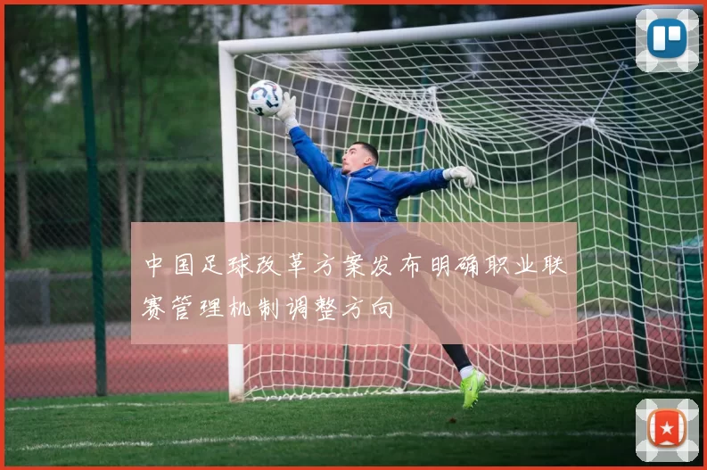 中国足球改革方案发布明确职业联赛管理机制调整方向