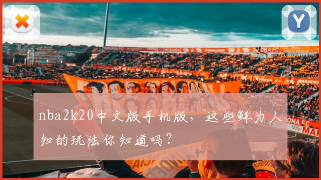nba2k20中文版手机版，这些鲜为人知的玩法你知道吗？