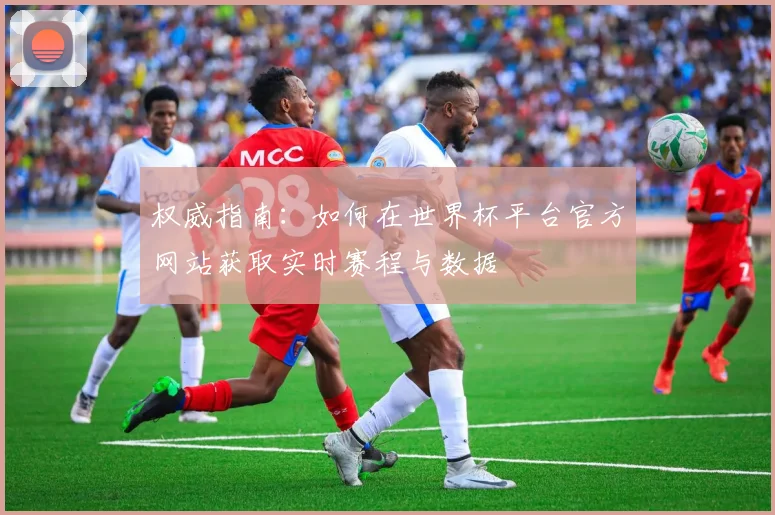 权威指南：如何在世界杯平台官方网站获取实时赛程与数据