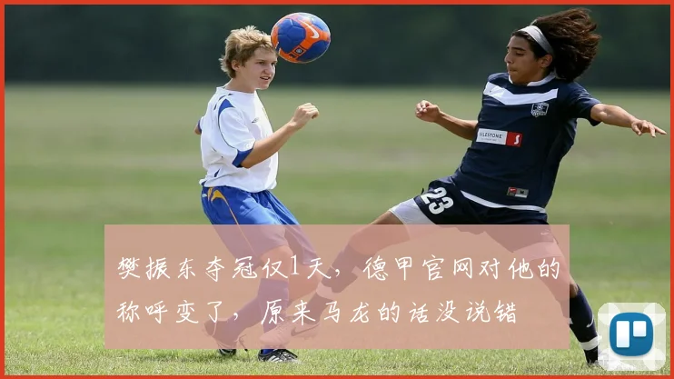 樊振东夺冠仅1天，德甲官网对他的称呼变了，原来马龙的话没说错