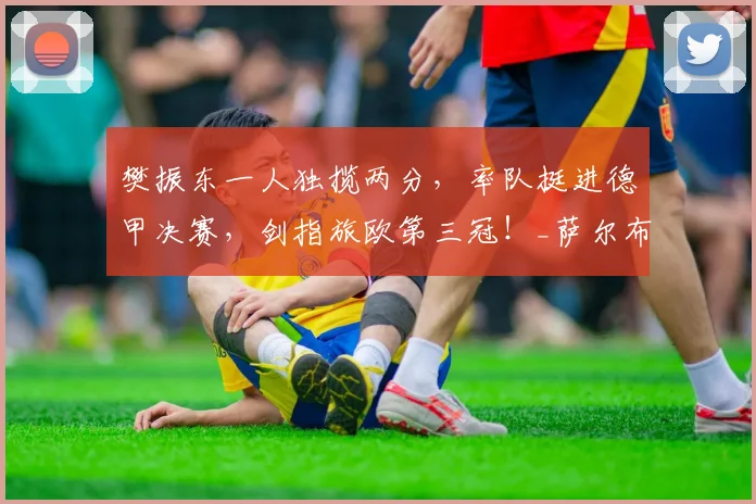 樊振东一人独揽两分，率队挺进德甲决赛，剑指旅欧第三冠！_萨尔布吕肯_比赛_赛季