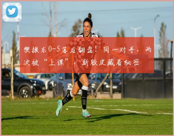 樊振东0-5落后翻盘！同一对手，两次被“上课”，新胶皮藏着秘密