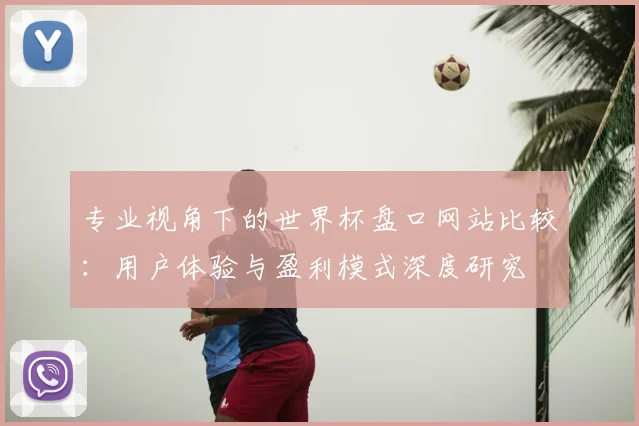 专业视角下的世界杯盘口网站比较：用户体验与盈利模式深度研究